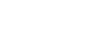 logo of MG Security